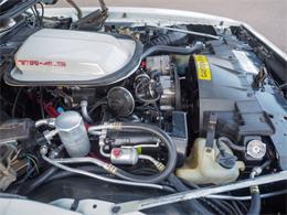 1981 Pontiac Firebird (CC-2021337) for sale in Englewood, Colorado