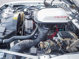1981 Pontiac Firebird (CC-2021337) for sale in Englewood, Colorado