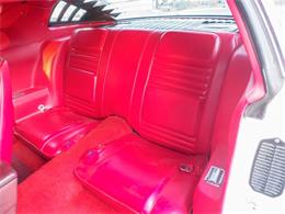 1981 Pontiac Firebird (CC-2021337) for sale in Englewood, Colorado