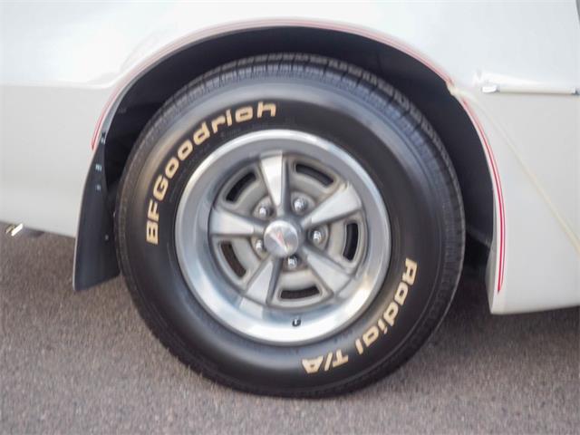 1981 Pontiac Firebird (CC-2021337) for sale in Englewood, Colorado