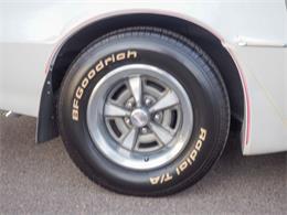 1981 Pontiac Firebird (CC-2021337) for sale in Englewood, Colorado