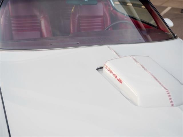 1981 Pontiac Firebird (CC-2021337) for sale in Englewood, Colorado