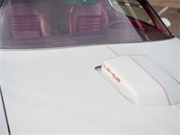 1981 Pontiac Firebird (CC-2021337) for sale in Englewood, Colorado