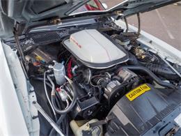 1981 Pontiac Firebird (CC-2021337) for sale in Englewood, Colorado