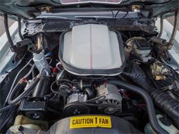 1981 Pontiac Firebird (CC-2021337) for sale in Englewood, Colorado