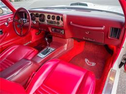 1981 Pontiac Firebird (CC-2021337) for sale in Englewood, Colorado