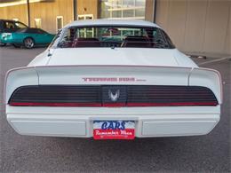1981 Pontiac Firebird (CC-2021337) for sale in Englewood, Colorado