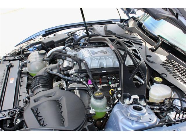 2022 Ford Mustang (CC-2020140) for sale in Sarasota, Florida