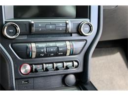 2022 Ford Mustang (CC-2020140) for sale in Sarasota, Florida