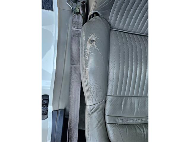 1999 Chevrolet Corvette (CC-2022519) for sale in Woodland Hills, California