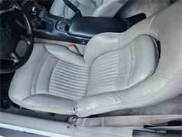 1999 Chevrolet Corvette (CC-2022519) for sale in Woodland Hills, California