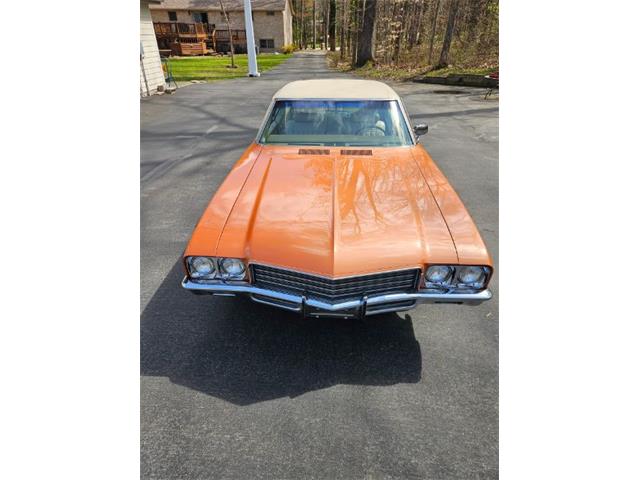 1971 Buick Skylark (CC-2022919) for sale in Hobart, Indiana