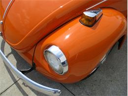 1972 Volkswagen Beetle (CC-2023098) for sale in Greenwood, Indiana