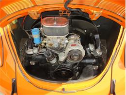 1972 Volkswagen Beetle (CC-2023098) for sale in Greenwood, Indiana