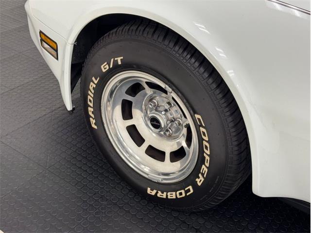 1981 Chevrolet Corvette (CC-2020318) for sale in Morgantown, Pennsylvania