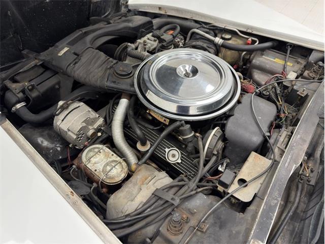 1981 Chevrolet Corvette (CC-2020318) for sale in Morgantown, Pennsylvania