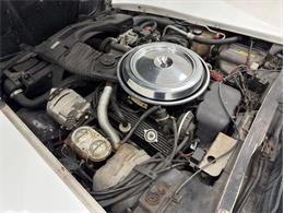 1981 Chevrolet Corvette (CC-2020318) for sale in Morgantown, Pennsylvania