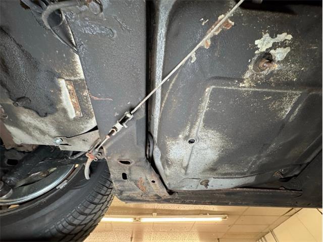 1981 Chevrolet Corvette (CC-2020318) for sale in Morgantown, Pennsylvania
