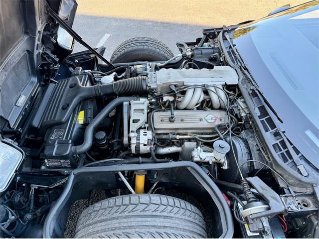 1986 Chevrolet Corvette (CC-2024336) for sale in Palmetto, Florida