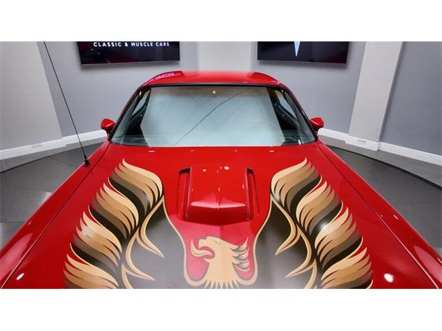 1980 Pontiac Firebird Trans Am (CC-2025734) for sale in Clearwater, Florida