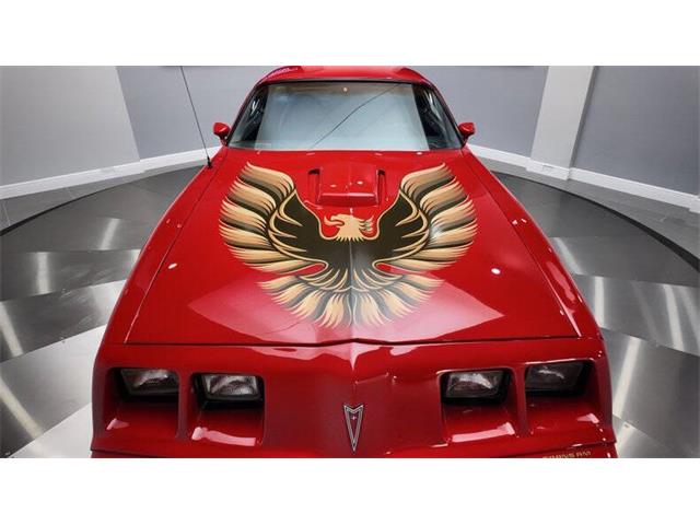 1980 Pontiac Firebird Trans Am (CC-2025734) for sale in Clearwater, Florida