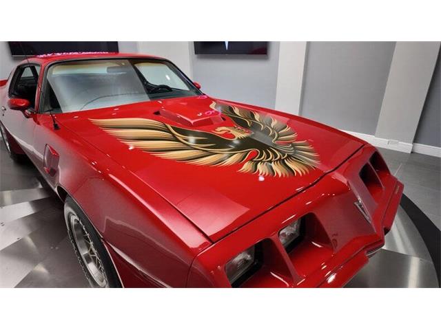 1980 Pontiac Firebird Trans Am (CC-2025734) for sale in Clearwater, Florida