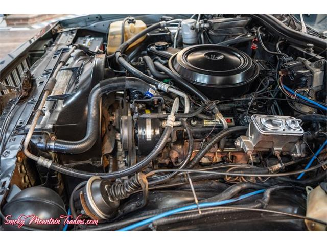 1984 Pontiac Parisienne (CC-2029710) for sale in Lenoir City, Tennessee