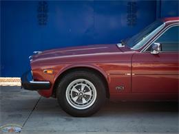 1987 Jaguar XJ6 (CC-2031254) for sale in Torrance, California