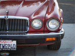 1987 Jaguar XJ6 (CC-2031254) for sale in Torrance, California