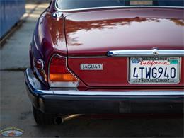 1987 Jaguar XJ6 (CC-2031254) for sale in Torrance, California