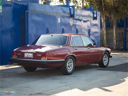 1987 Jaguar XJ6 (CC-2031254) for sale in Torrance, California