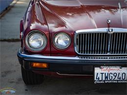 1987 Jaguar XJ6 (CC-2031254) for sale in Torrance, California