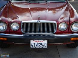 1987 Jaguar XJ6 (CC-2031254) for sale in Torrance, California