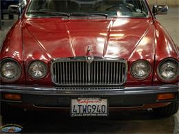 1987 Jaguar XJ6 (CC-2031254) for sale in Torrance, California