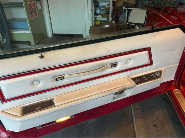 1976 Ford Thunderbird (CC-2031476) for sale in Cadillac, Michigan