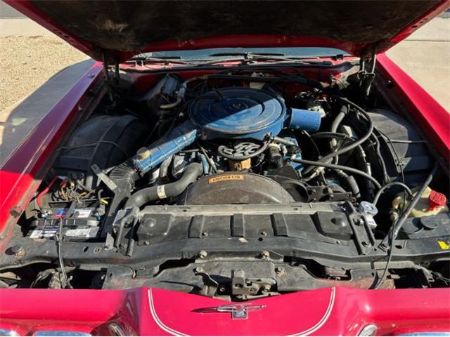 1976 Ford Thunderbird (CC-2031476) for sale in Cadillac, Michigan