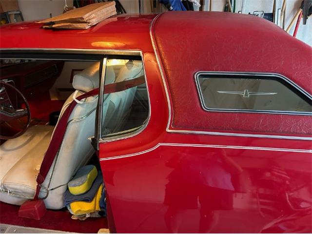 1976 Ford Thunderbird (CC-2031476) for sale in Cadillac, Michigan