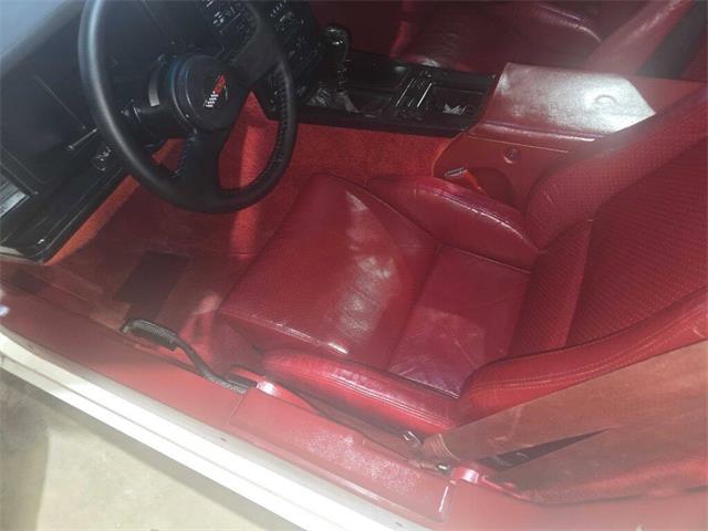1985 Chevrolet Corvette (CC-2031994) for sale in Spirit Lake, Iowa