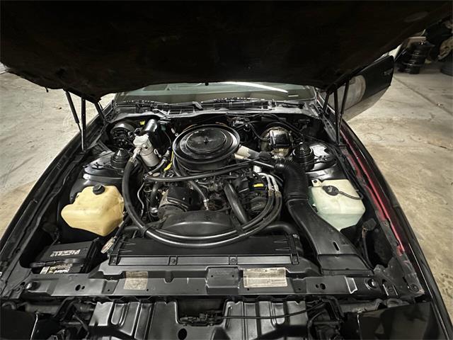 1984 Pontiac Firebird (CC-2032295) for sale in Huntsville, Alabama