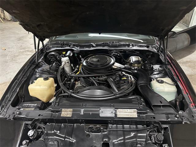 1984 Pontiac Firebird (CC-2032295) for sale in Huntsville, Alabama
