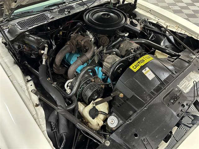 1980 Pontiac Firebird (CC-2032400) for sale in North East, Pennsylvania