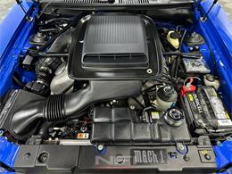 2004 Ford Mustang (CC-2032417) for sale in North East, Pennsylvania