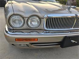 1995 Jaguar XJ (CC-2032458) for sale in Woodland Hills, California