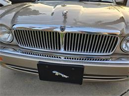1995 Jaguar XJ (CC-2032458) for sale in Woodland Hills, California