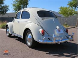 1962 Volkswagen Beetle (CC-2030339) for sale in Mesa, Arizona