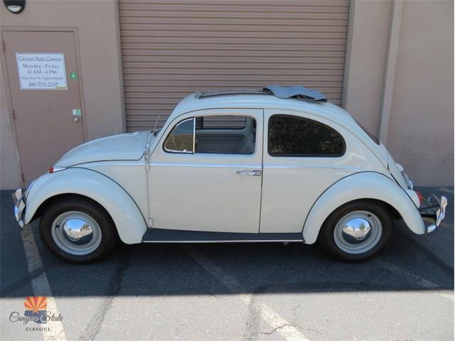 1962 Volkswagen Beetle (CC-2030339) for sale in Mesa, Arizona