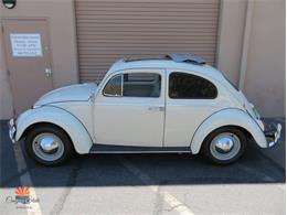 1962 Volkswagen Beetle (CC-2030339) for sale in Mesa, Arizona