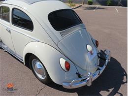 1962 Volkswagen Beetle (CC-2030339) for sale in Mesa, Arizona