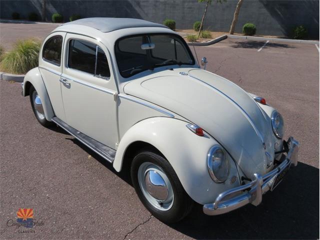 1962 Volkswagen Beetle (CC-2030339) for sale in Mesa, Arizona