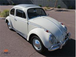 1962 Volkswagen Beetle (CC-2030339) for sale in Mesa, Arizona